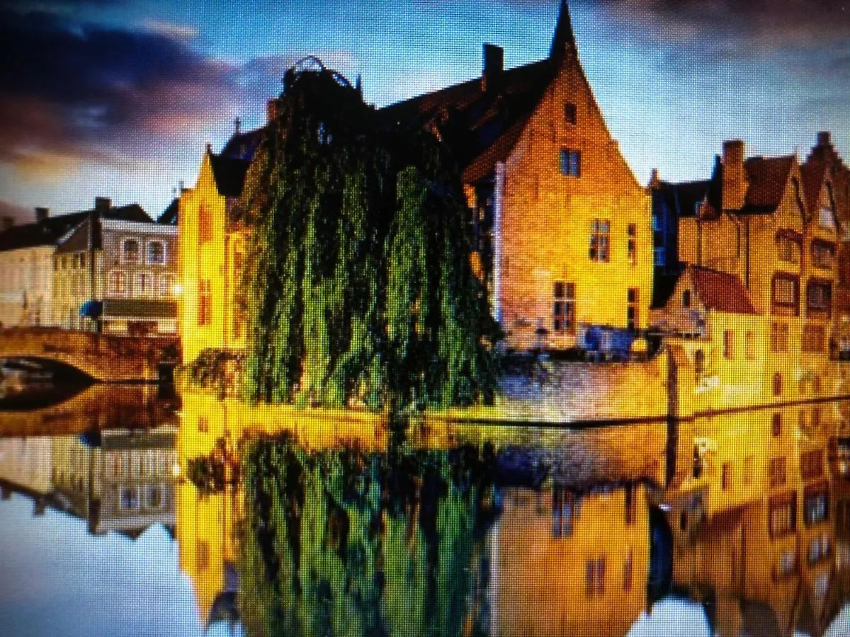 The 5 Hotel Brujas Bélgica